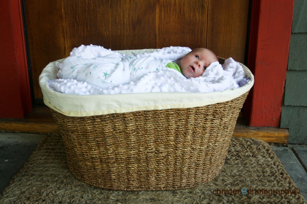 baby-elloise-552